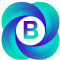 Best Solution logo